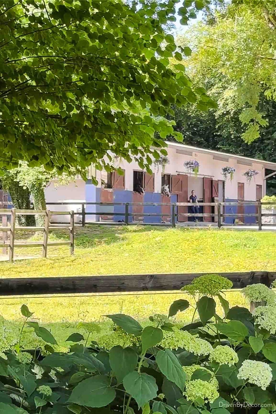 Ashford Castle stables