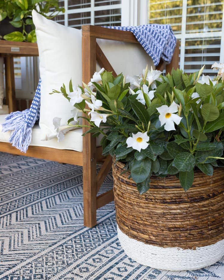 The "before" and "after" makeover of our back porch!