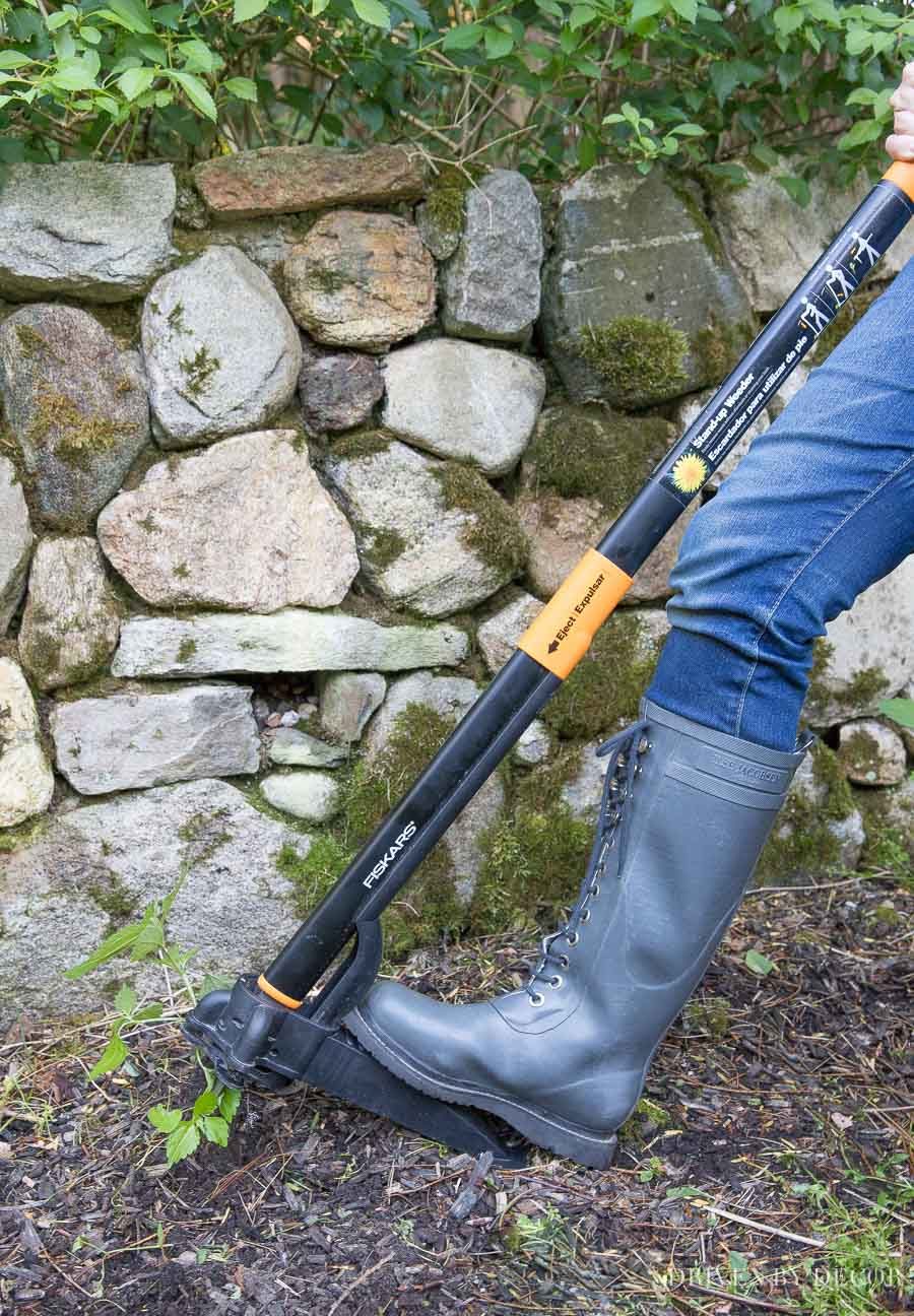 This standing weed puller makes weeding SO much easier!