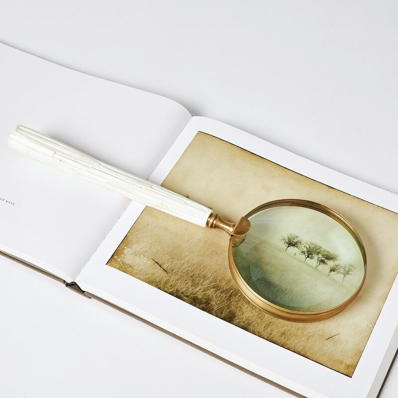 Bone magnifying glass resting on open book