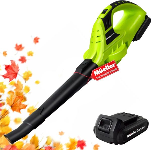 Cordless electric leaf blower