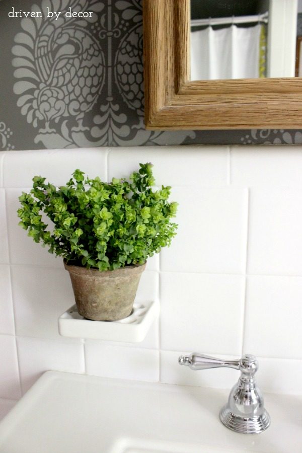 Dekorguncel - Bathroom toothbrush holder used as plant stand