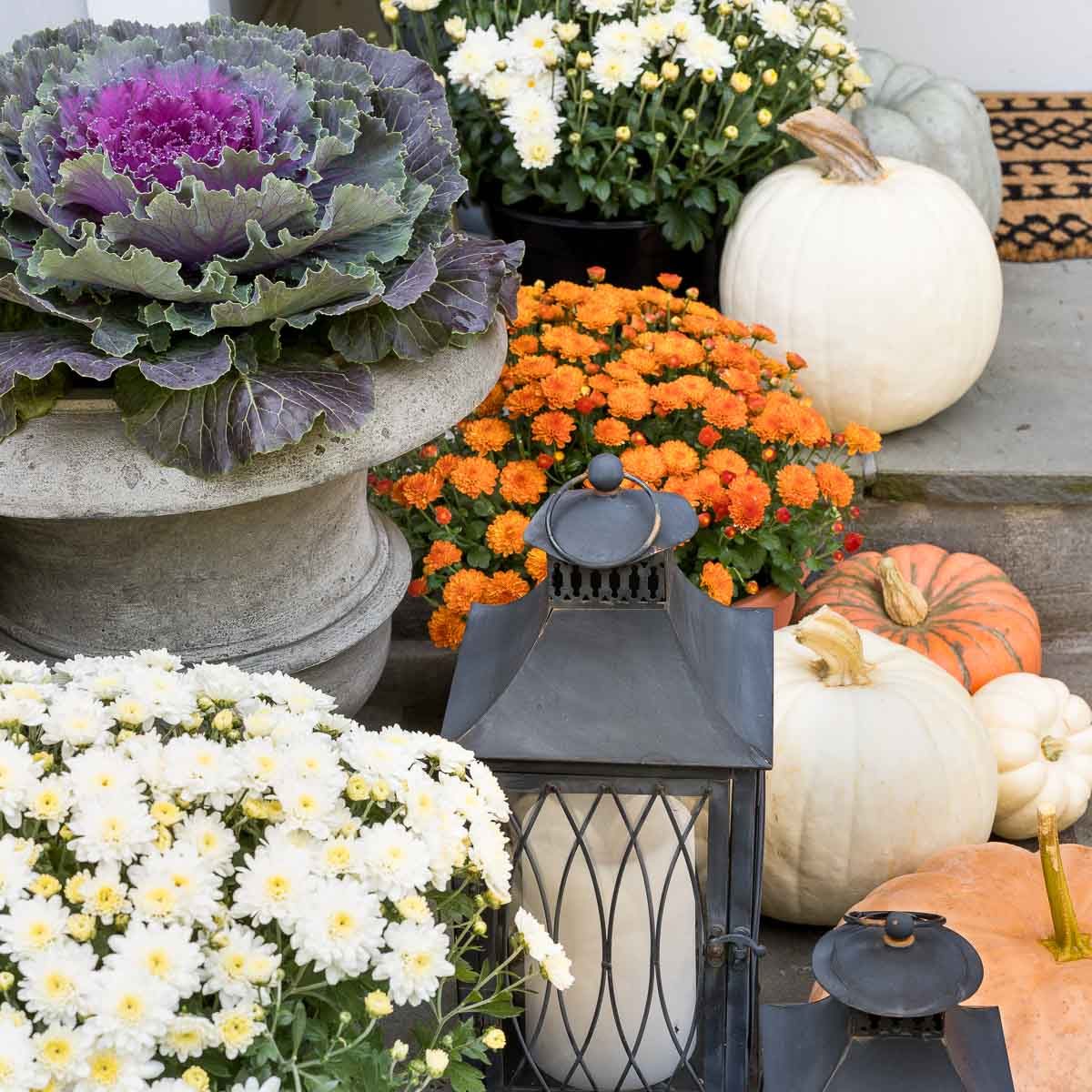 Fall front porch