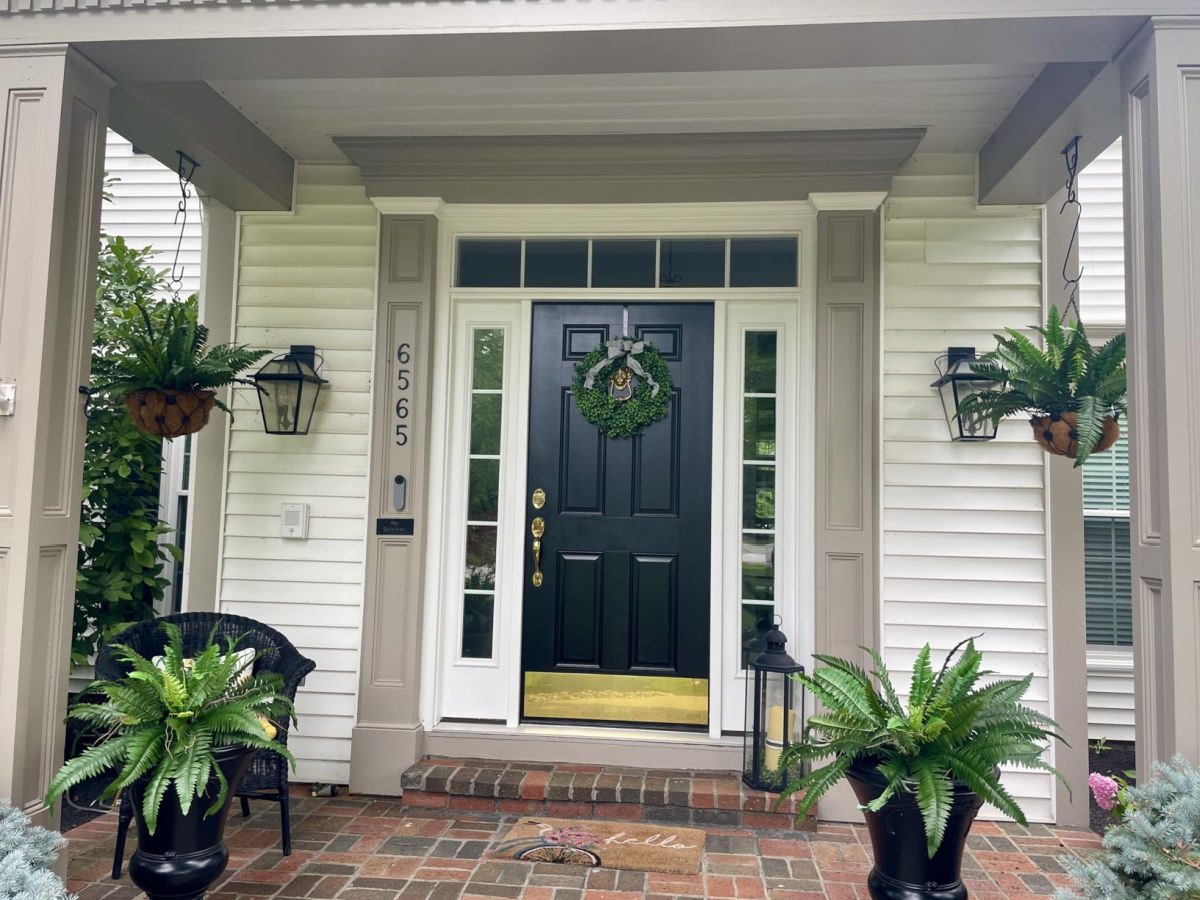 Faux Boston ferns