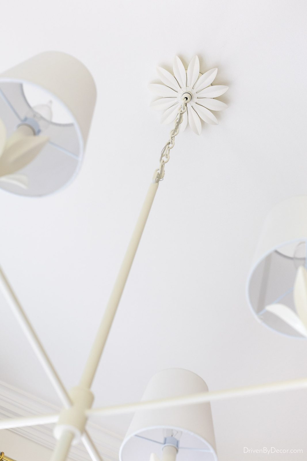 Floral design canopy on matte white chandelier