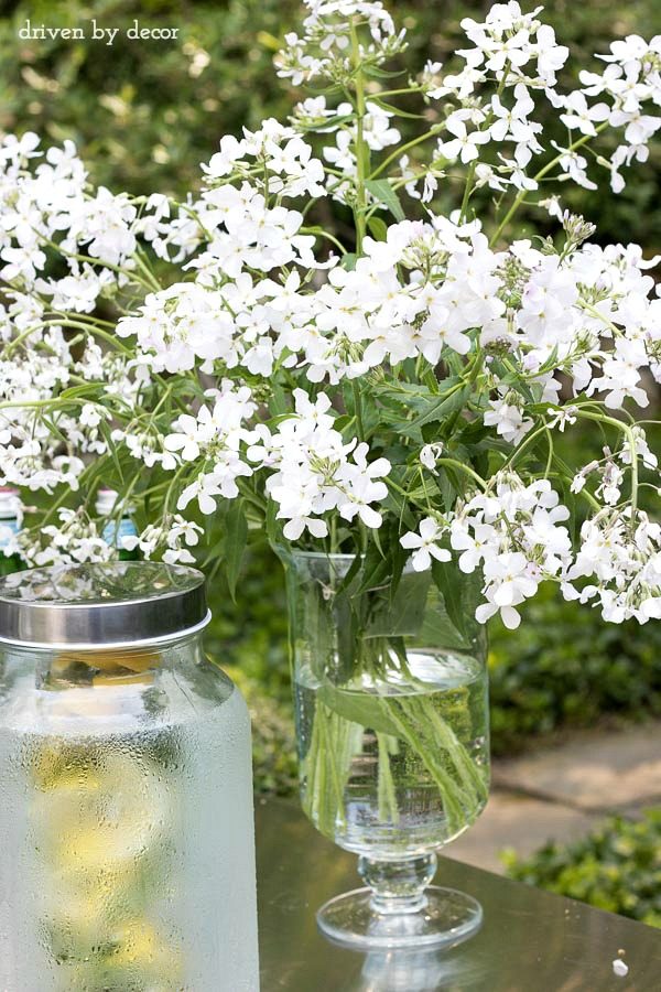White flowers in vase next to drink dispenser