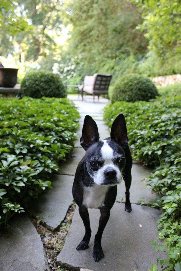 Stylish Built-in Dog Beds and Kennels