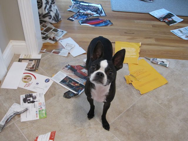 Kept Envelope Mailboxes