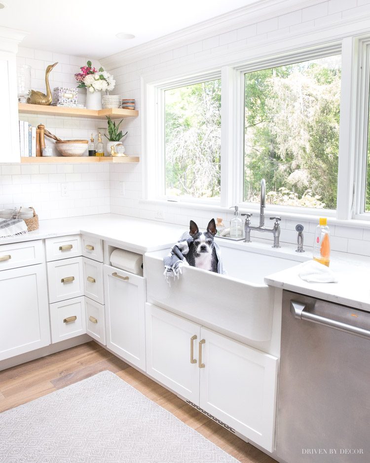 Love the tips in this post on how to keep your house clean with pets!