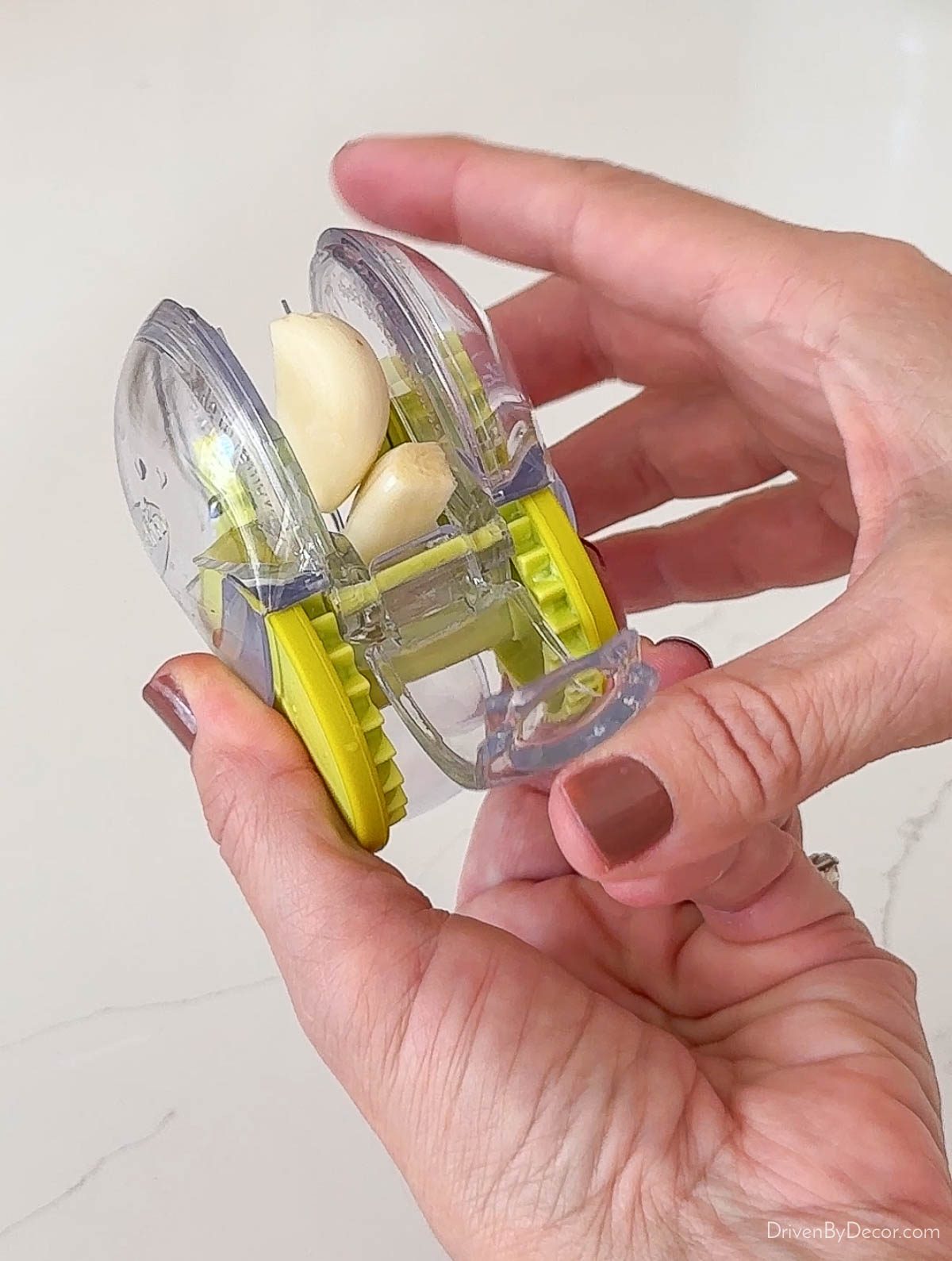 Placing garlic in garlic chopper