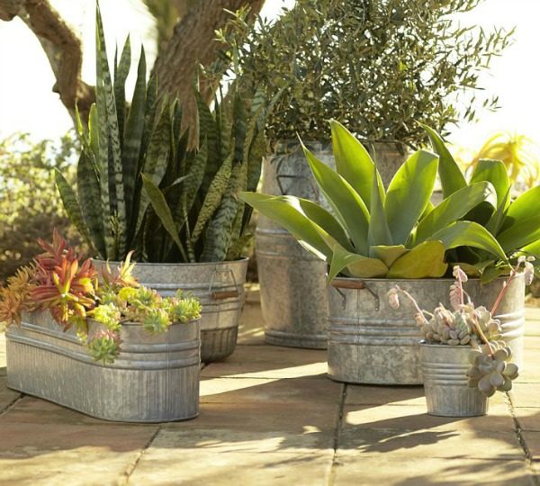 Galvanized Tub Planter Approaches