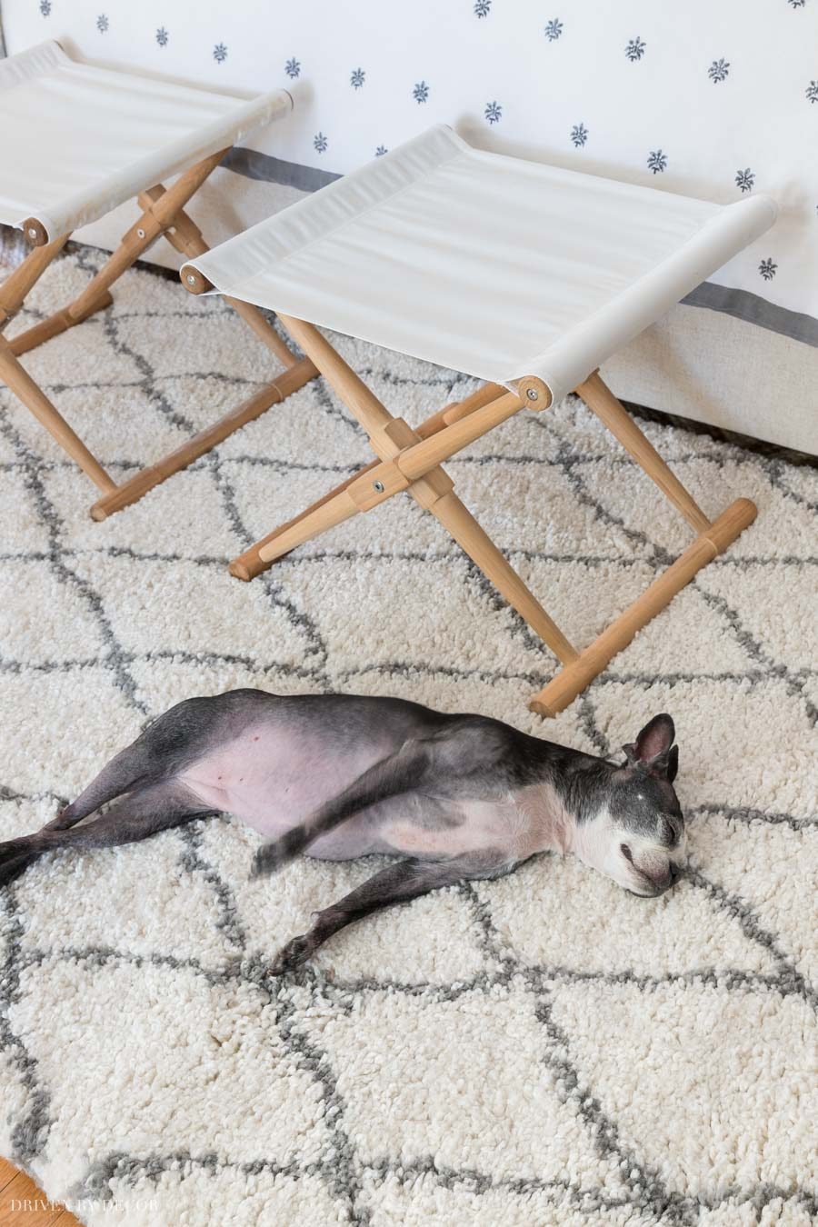A super cozy, plush Moroccan shag rug!