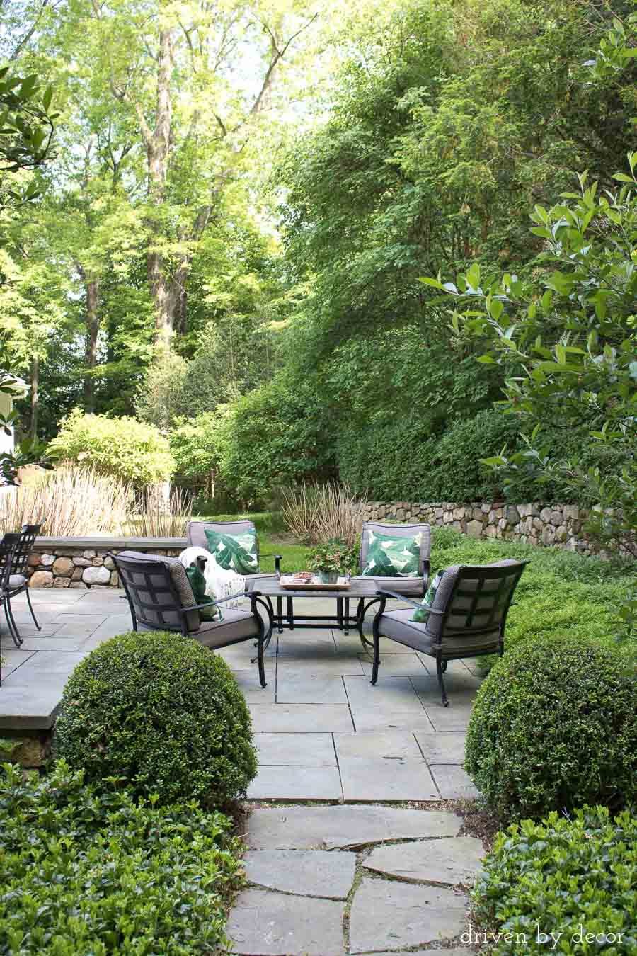 Pachysandra ground cover lining this stone walkway is a great weedless alternative to mulch!
