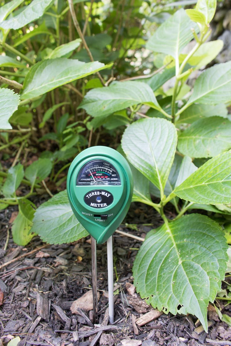 Sensor for testing soil moisture and pH levels
