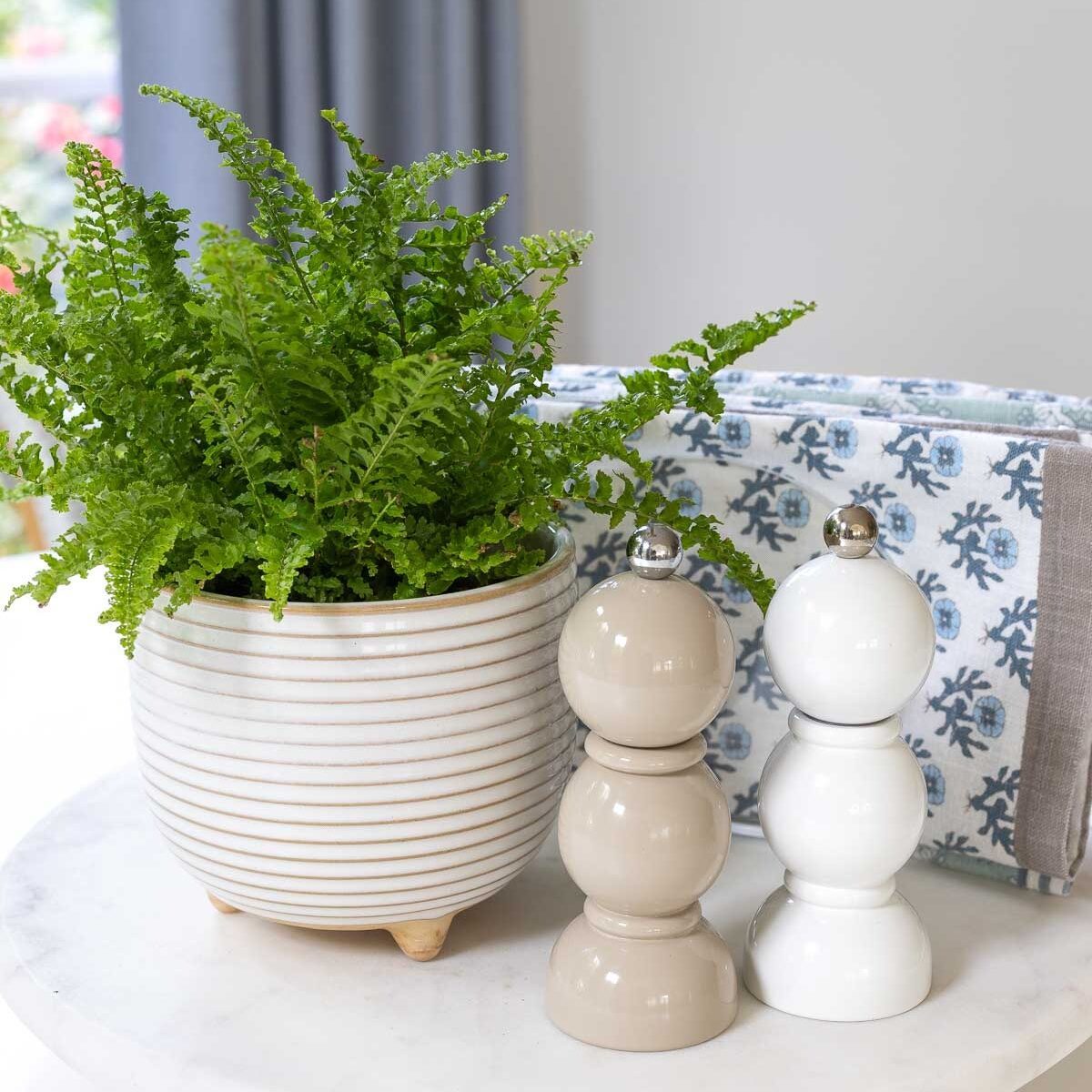 Salt and pepper shakers next to plant on lazy Susan