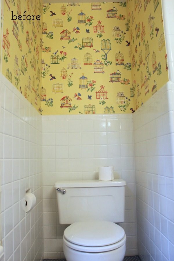 Toilet area before