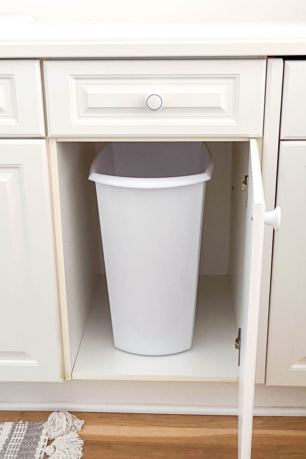 Cabinet with trash can before double pull-out cans added