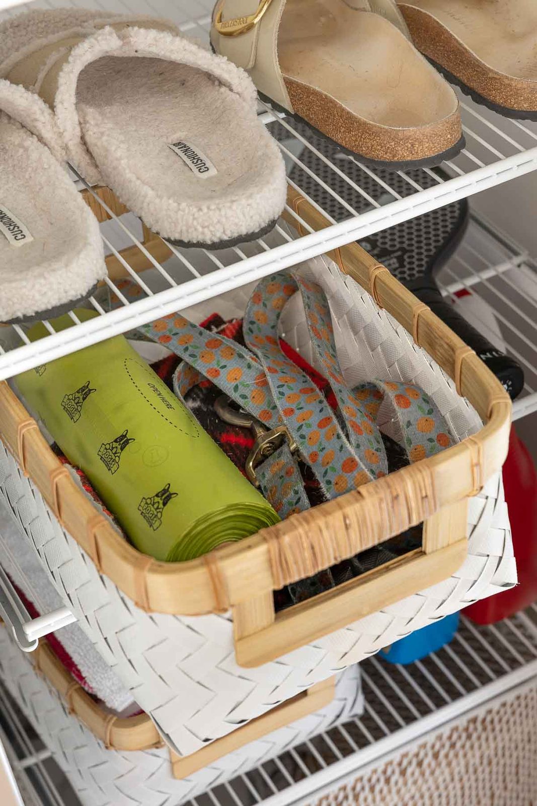 Bin in laundry room closet with dog walking supplies