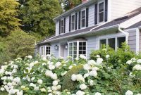 My Top 5 Lawn and Garden Tips for Busy Girls