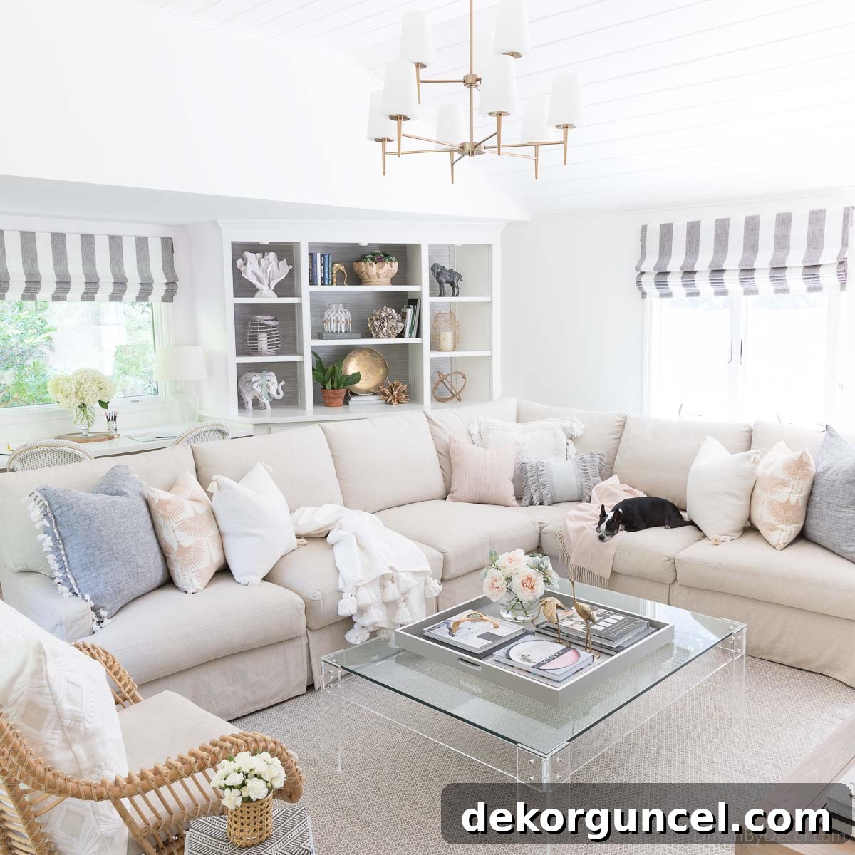 featured 13643