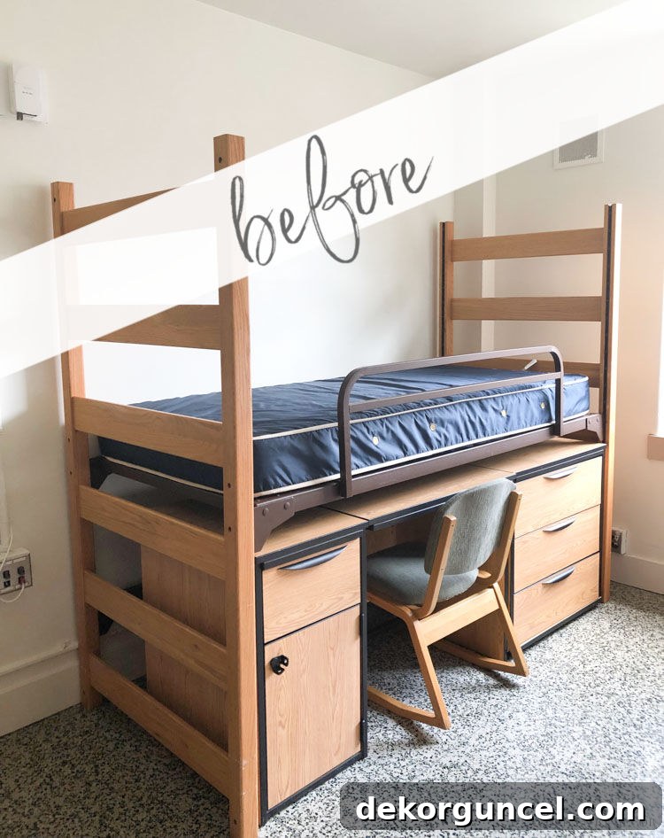 featured 17509