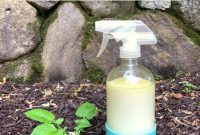 Effortless Organic Weed Killer: Just Two Ingredients