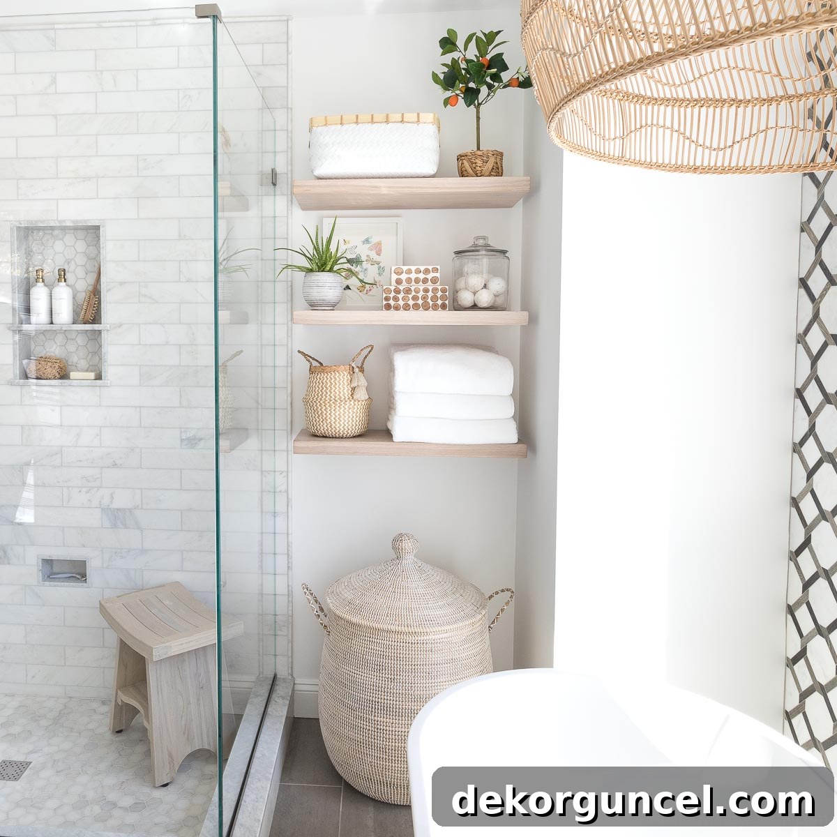 featured 20882