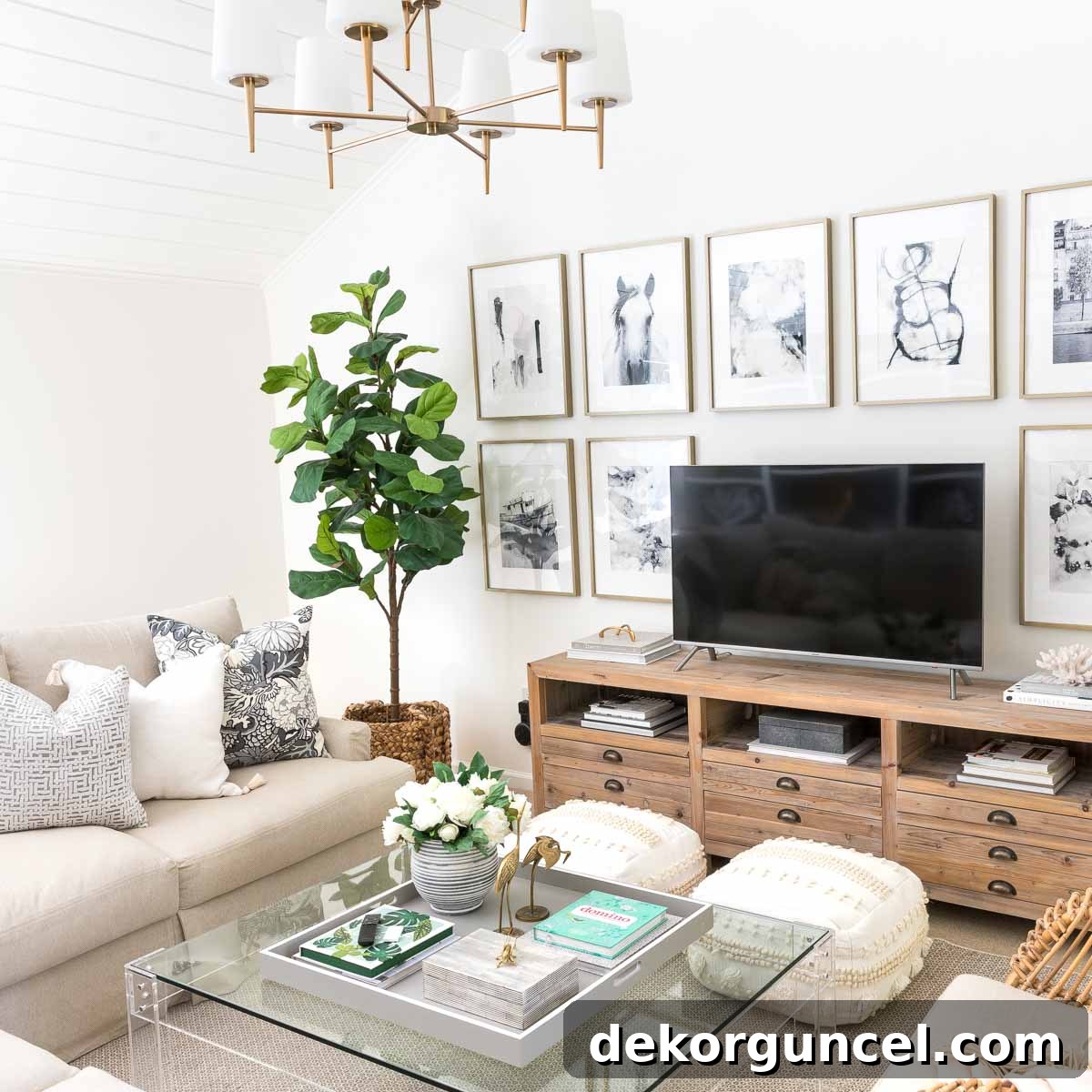 featured 2652