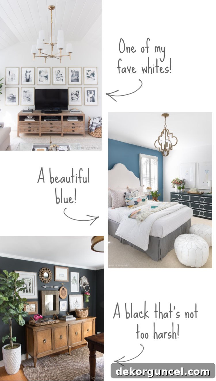 featured 3129