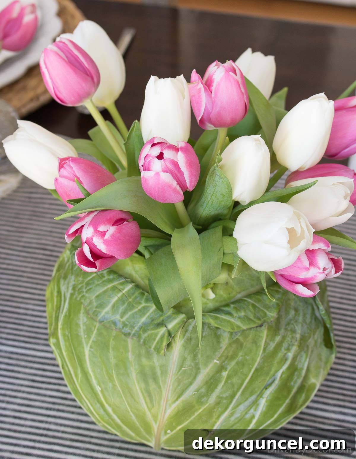 Close-up of a vibrant green cabbage beautifully filled with fresh, colorful tulips, creating a rustic and charming centerpiece.