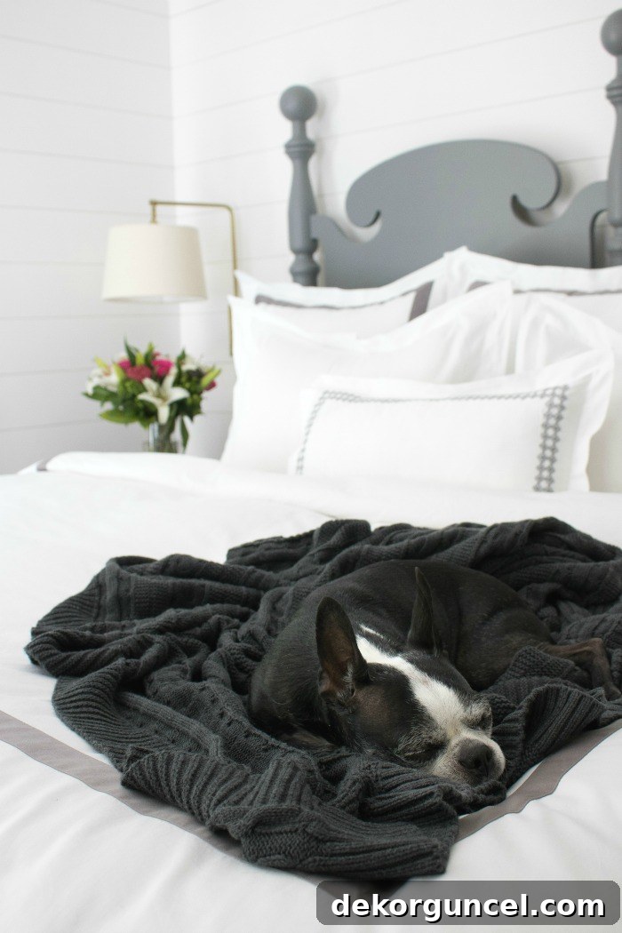 A dog, Hope, comfortably lying on a gray cable knit throw on a pristine white bed, demonstrating pet-friendly bedding solutions.