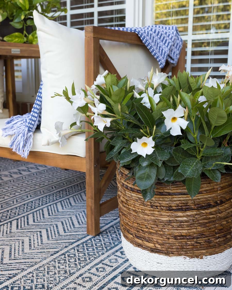 Gorgeous basket holding a plant on the back porch!