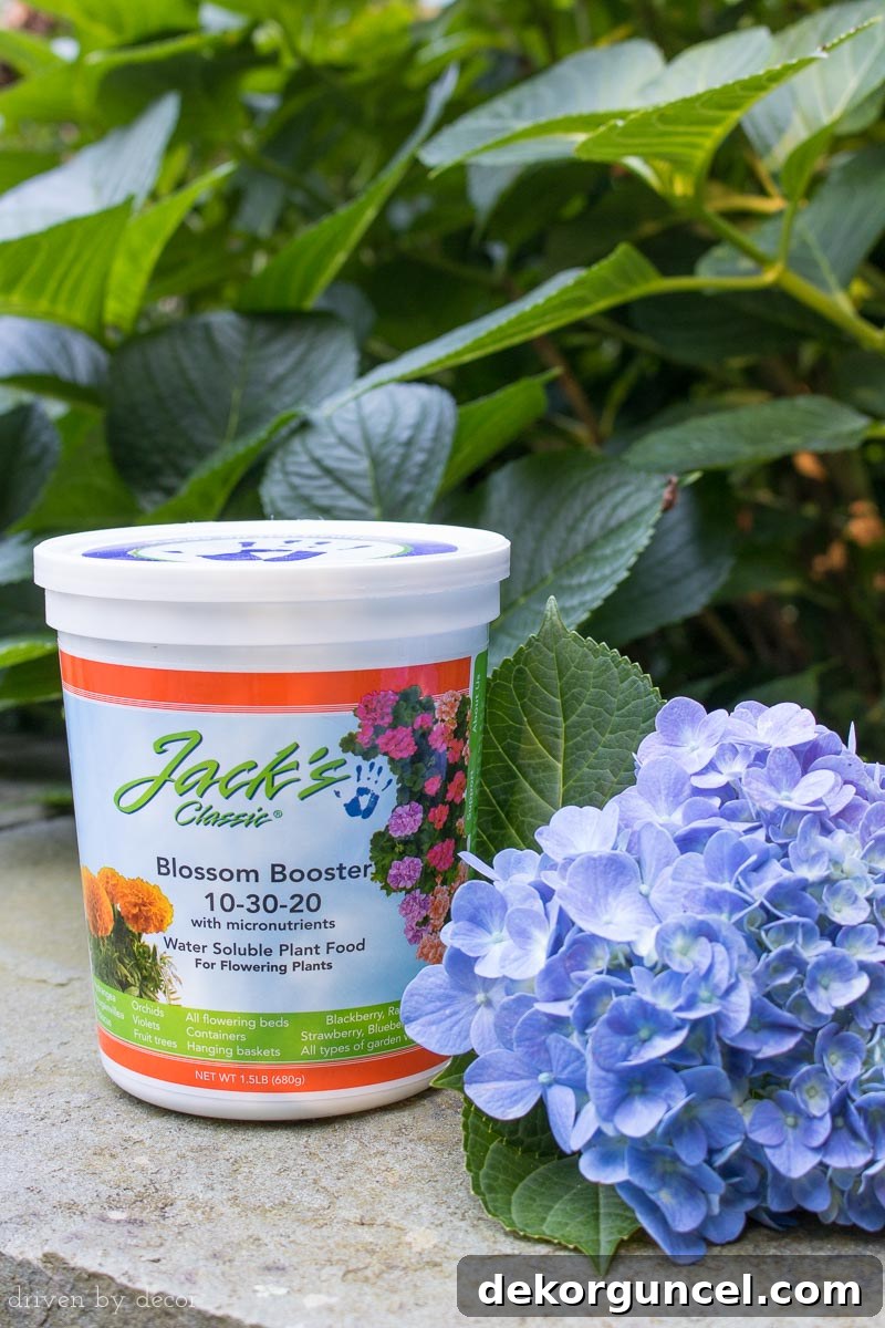 A great fertilizer for hydrangeas