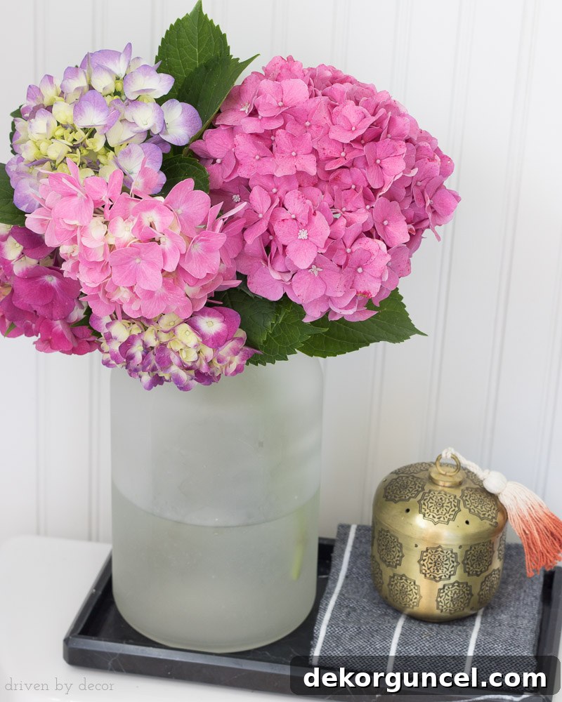 Pink hydrangeas in vase