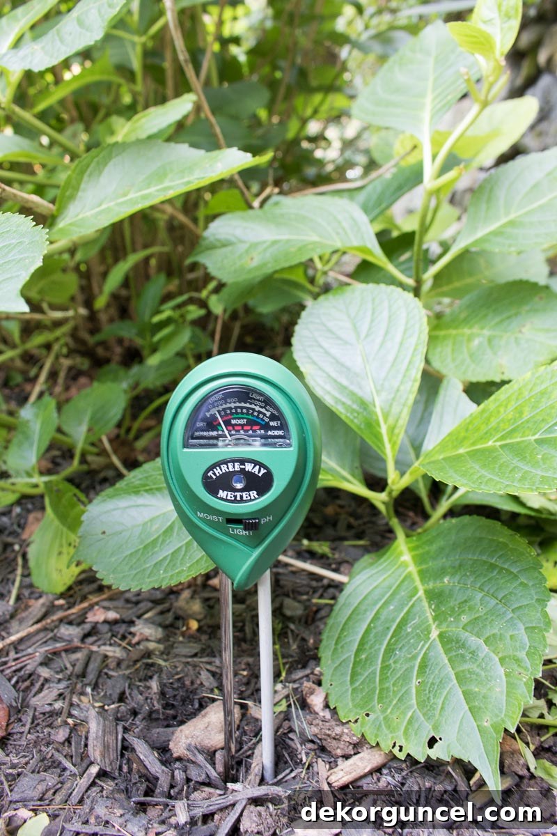 Sensor for testing soil moisture and pH levels