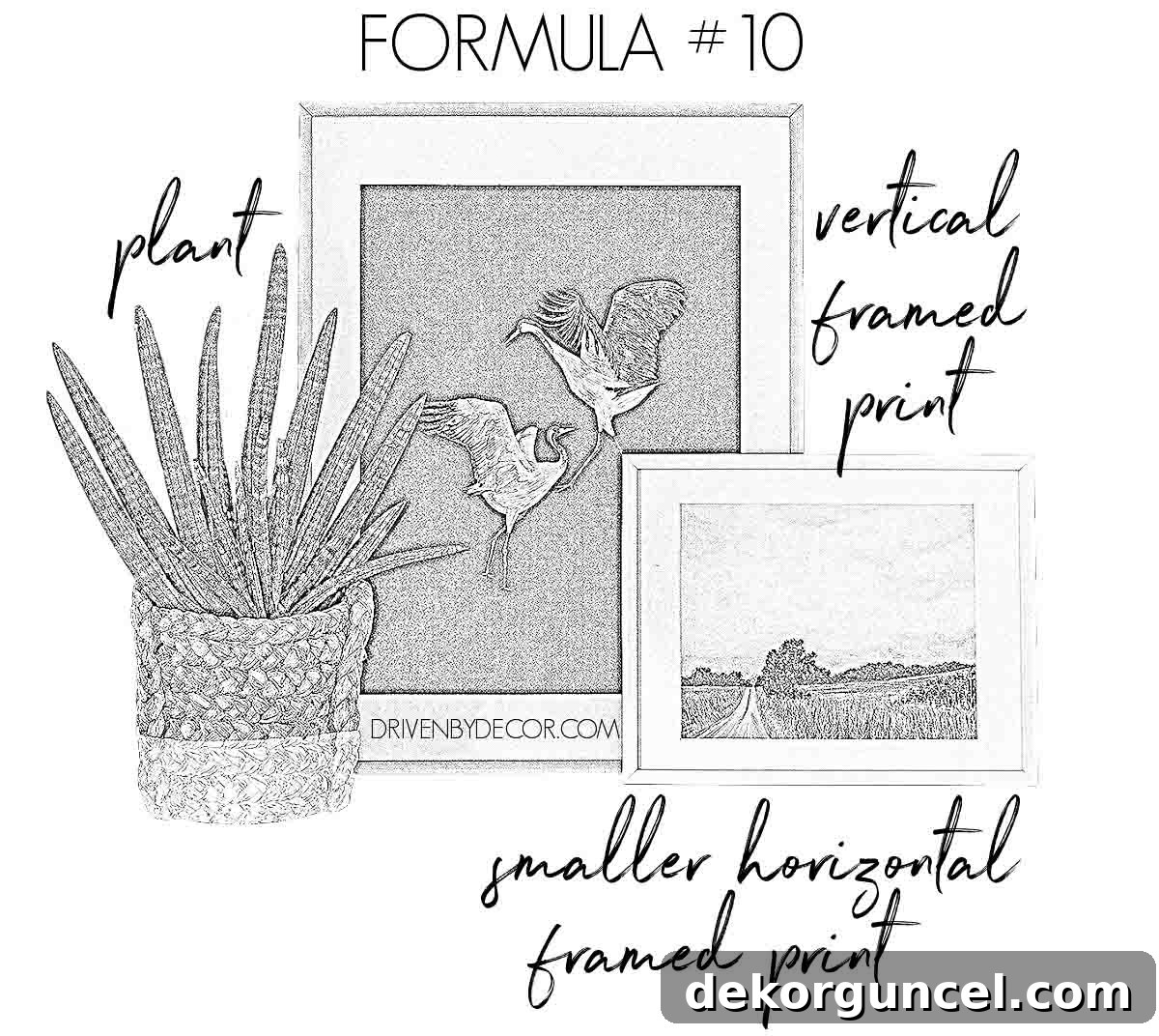 A sophisticated grouping for shelf decor featuring a vibrant plant and elegantly layered frames.