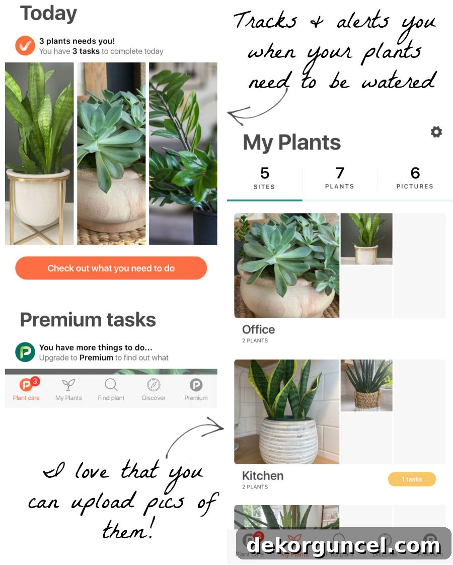 Design Your Dream Home: 10 Must-Have Decorating Apps 4 My secret weapon for thriving indoor plants: the Planta app keeps me on track with watering schedules!