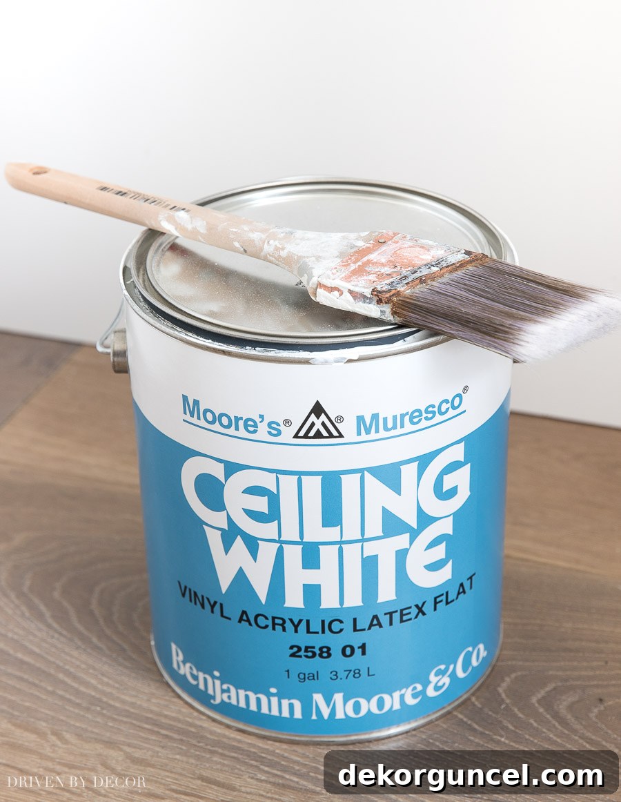 7 Speed Painting Secrets for a Flawless Finish 7 The BEST choice for ceiling paint!