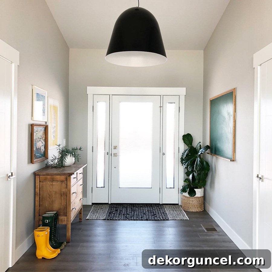 Sherwin Williams Repose Gray in Marnie Hansen's beautiful foyer, demonstrating how light transforms this dynamic greige.