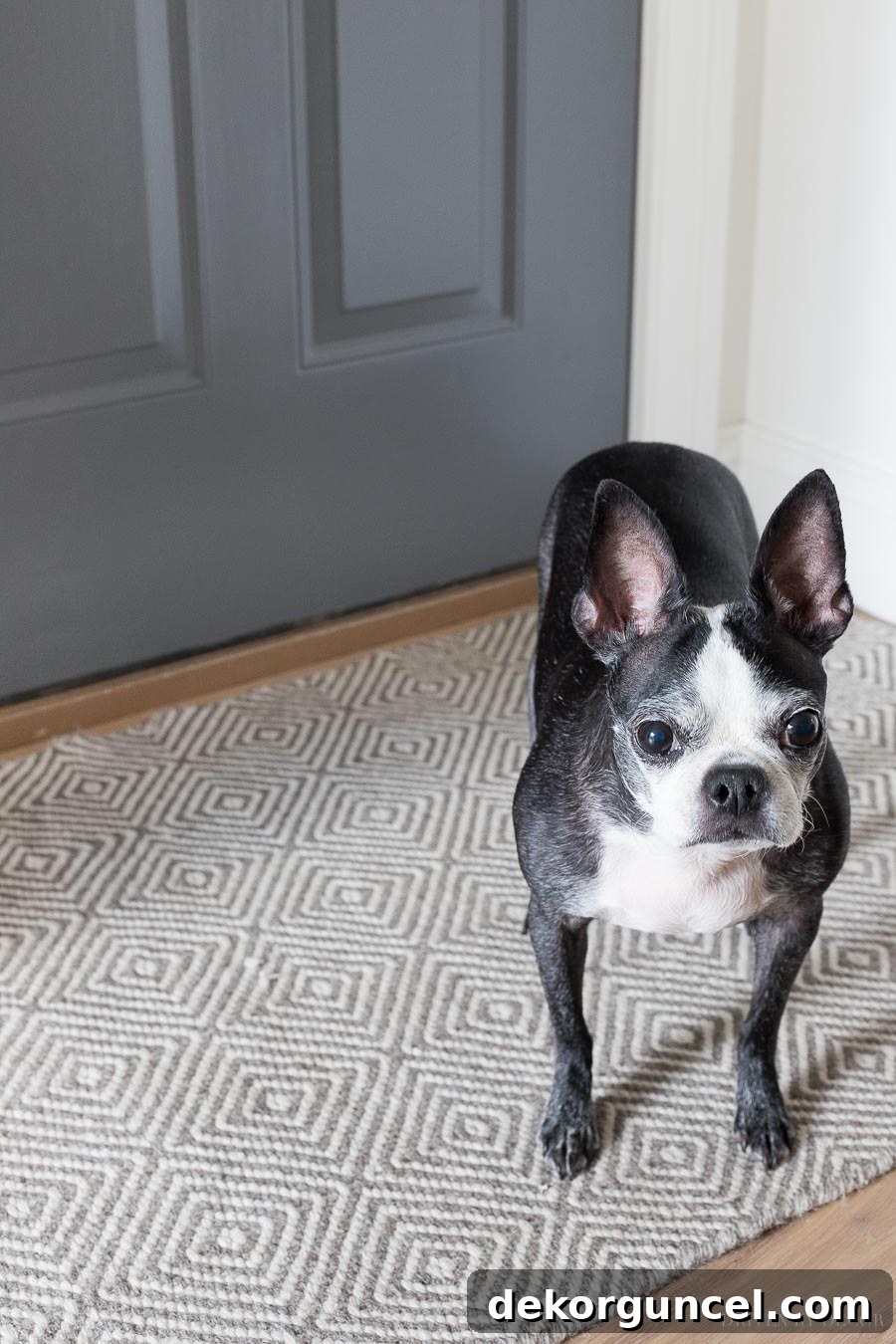 A beautiful gray and white geometric entryway rug, adding style and practicality to the space.