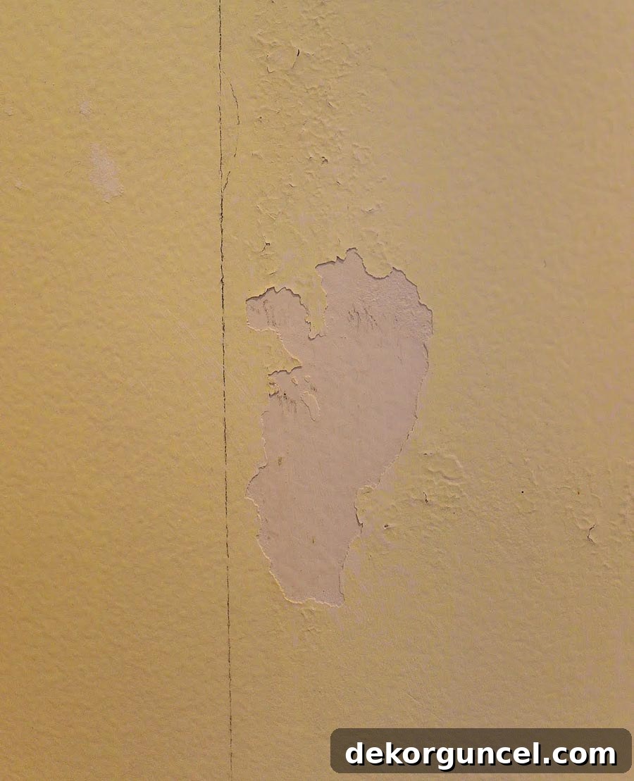 Great advice for preventing drywall damage when removing wallpaper!