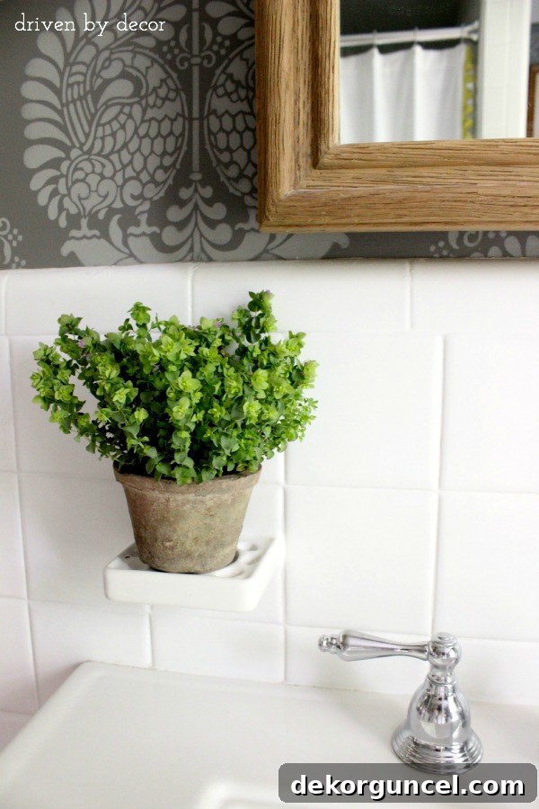 Affordable Bathroom Renovation Ideas 6 Bathroom toothbrush holder repurposed as a stylish plant stand, showcasing creative budget solutions