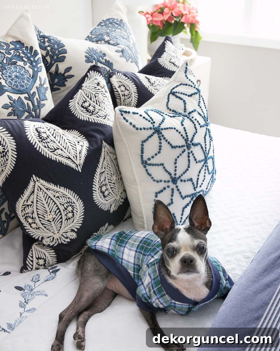 Our adorable dog, Hope, nestled amongst the beautiful blue and white pillows, sporting a cute pair of plaid dog pajamas.
