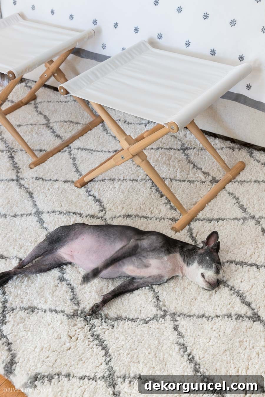 A super cozy and plush Moroccan shag rug, perfect for ultimate comfort in a bedroom.