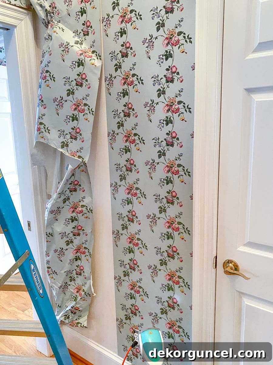 Discover how to remove old wallpaper in large, satisfying sheets effortlessly
