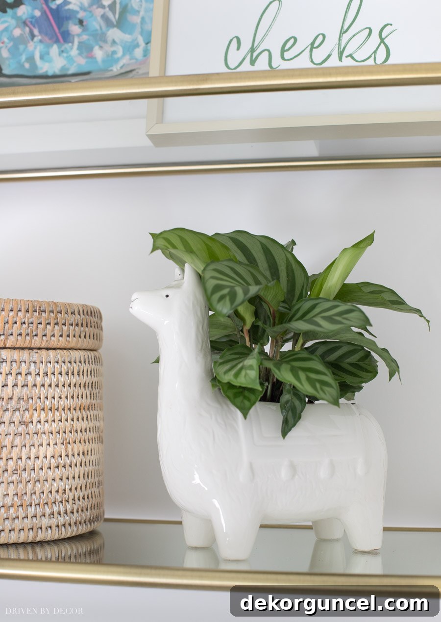 A super cute llama planter, adding a whimsical touch to the water closet decor
