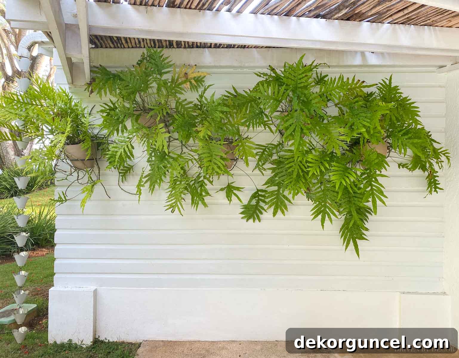 Love the idea of adding wall mounted planter holders to a blank outdoor wall!