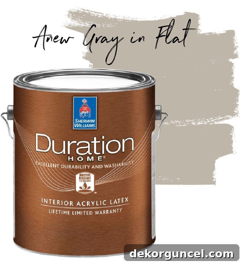 Sherwin Williams Anew Gray Paint Color Review 11 Sherwin Williams Anew Gray in Duration Home Flat
