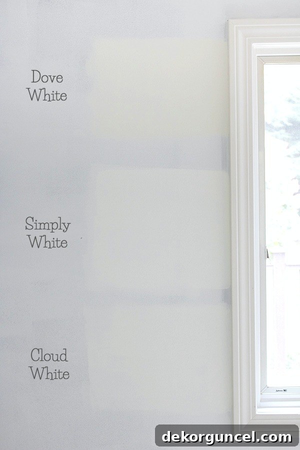 Benjamin Moore White Dove versus Simply White vs. Cloud White paint colors tested side-by-side. This comparison helps illustrate the subtle yet significant differences in their undertones and brightness in natural light.