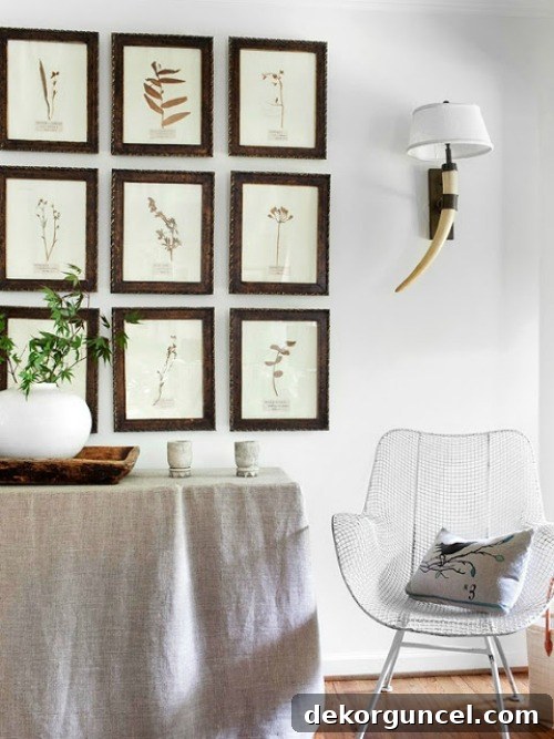 Wall of botanical prints